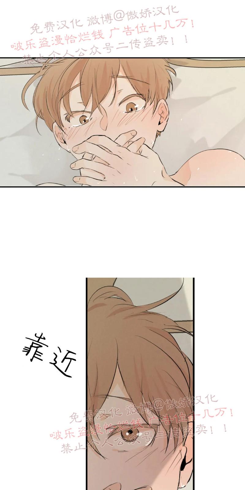 不完全变态 第49话 第17页