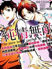 纯情无敌 封面