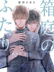 箱庭中的两人 封面