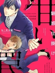 魅惑机关 甜蜜陷阱 封面