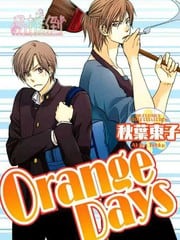 orange days 封面