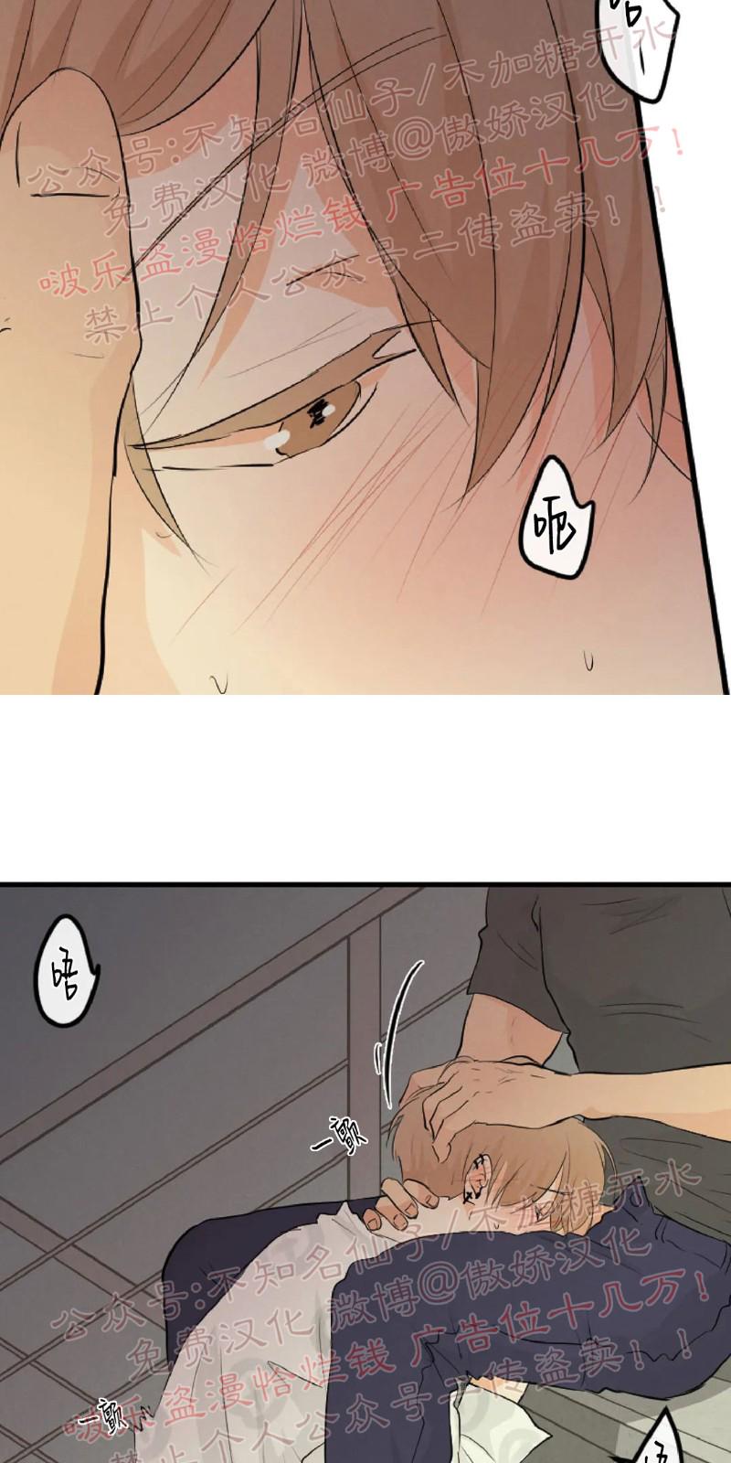 不完全变态 第51话 第29页