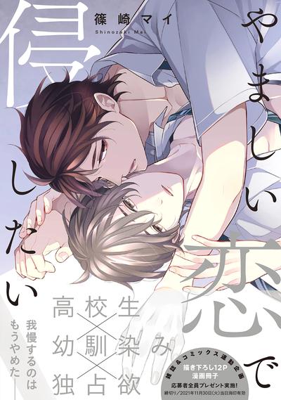 想以负疚之恋侵犯 封面