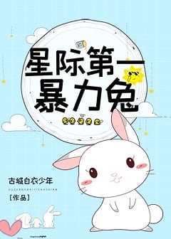 星际第一暴力兔 封面