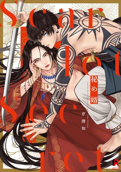 秘婿 封面