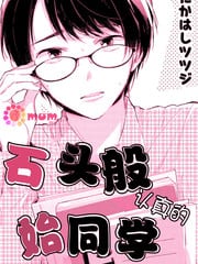 石头般认真的始同学 封面