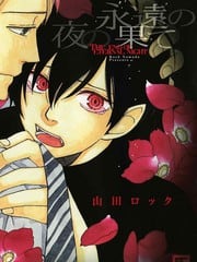 永夜的尽头 封面