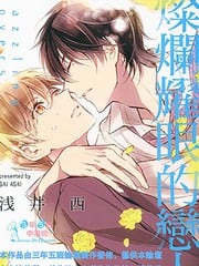 灿烂耀眼的恋人 封面