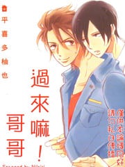 过来嘛 哥哥 封面