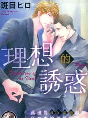 理想的诱惑 封面