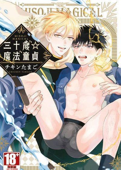 三十岁☆魔法童贞 封面