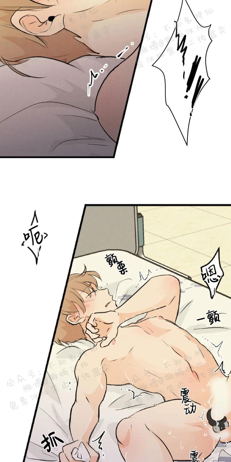 不完全变态 第48话 第29页