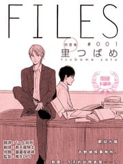 FILES 封面