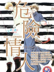 危险情人 封面