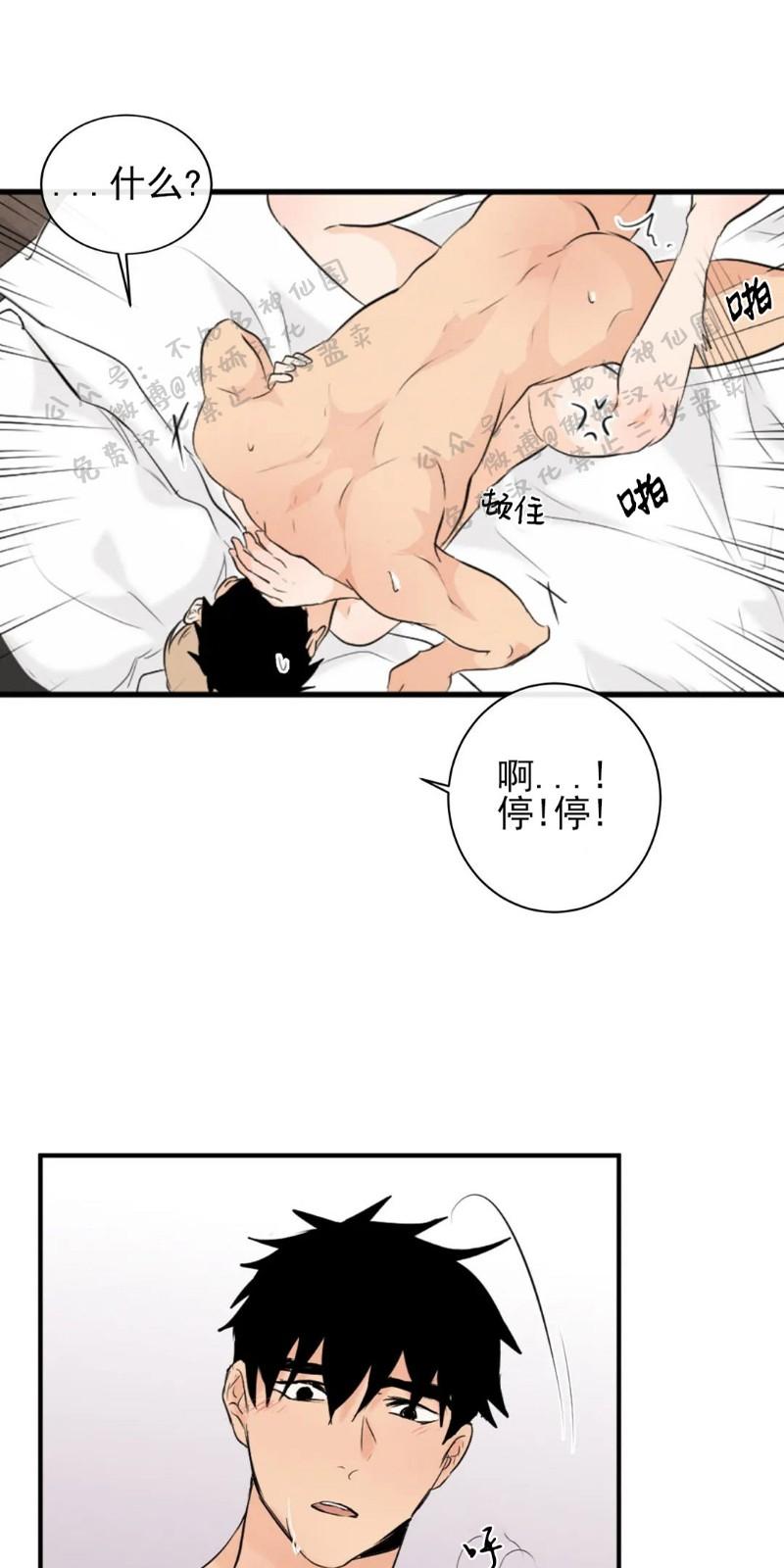 不完全变态 第39话 第19页