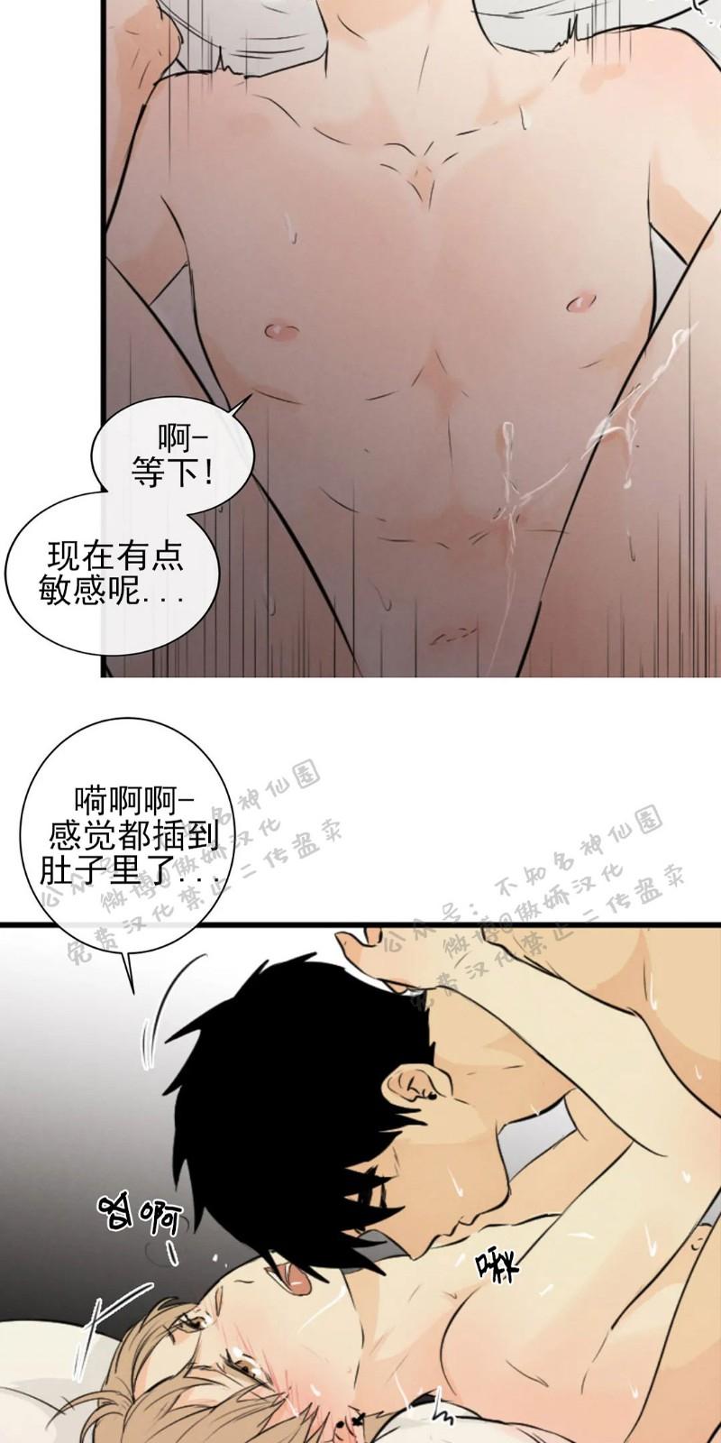 不完全变态 第39话 第17页