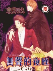 无声的夜晚 封面