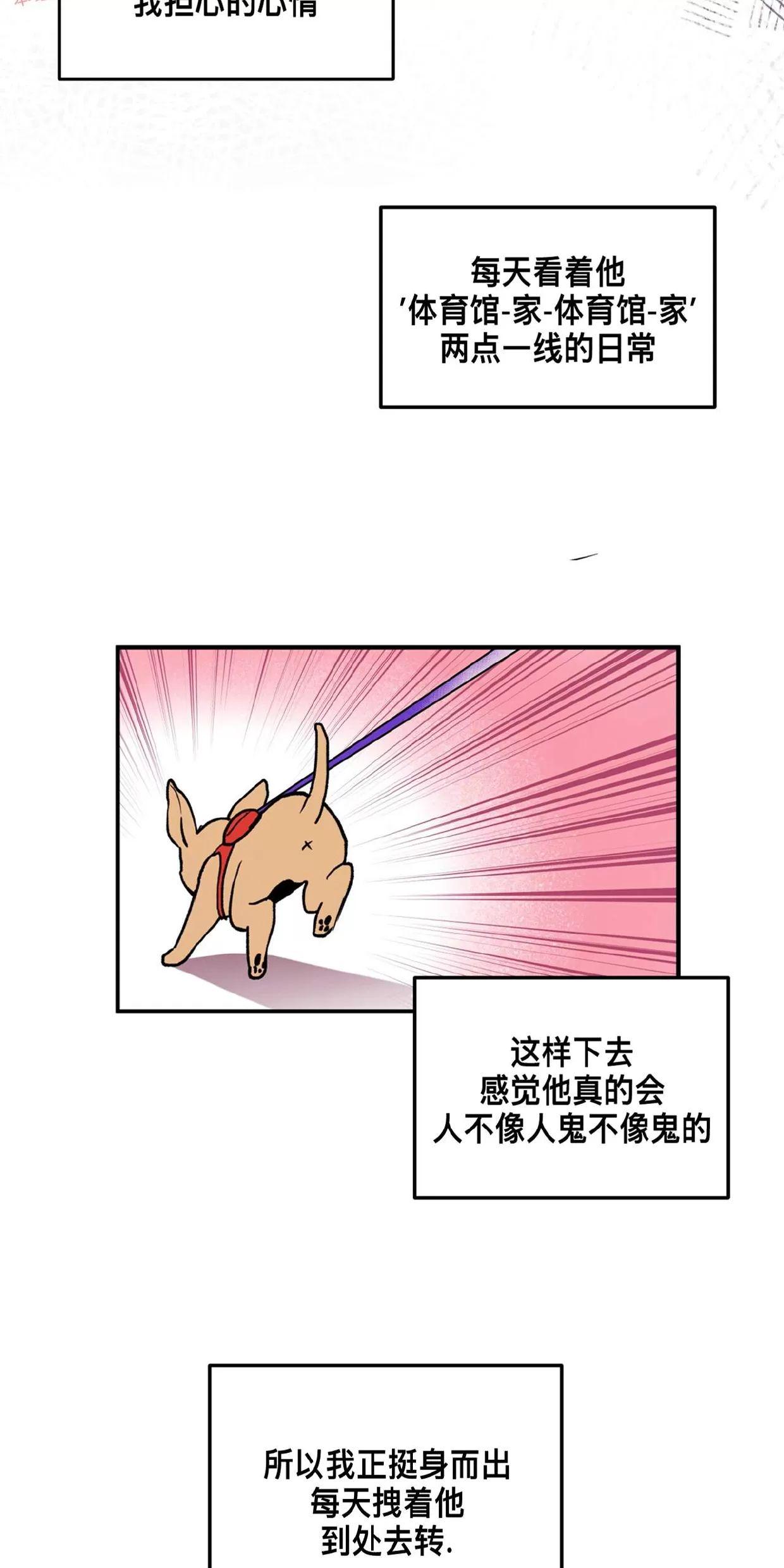 Honey Bear 第1话 第17页