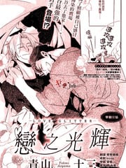 恋之光辉 封面