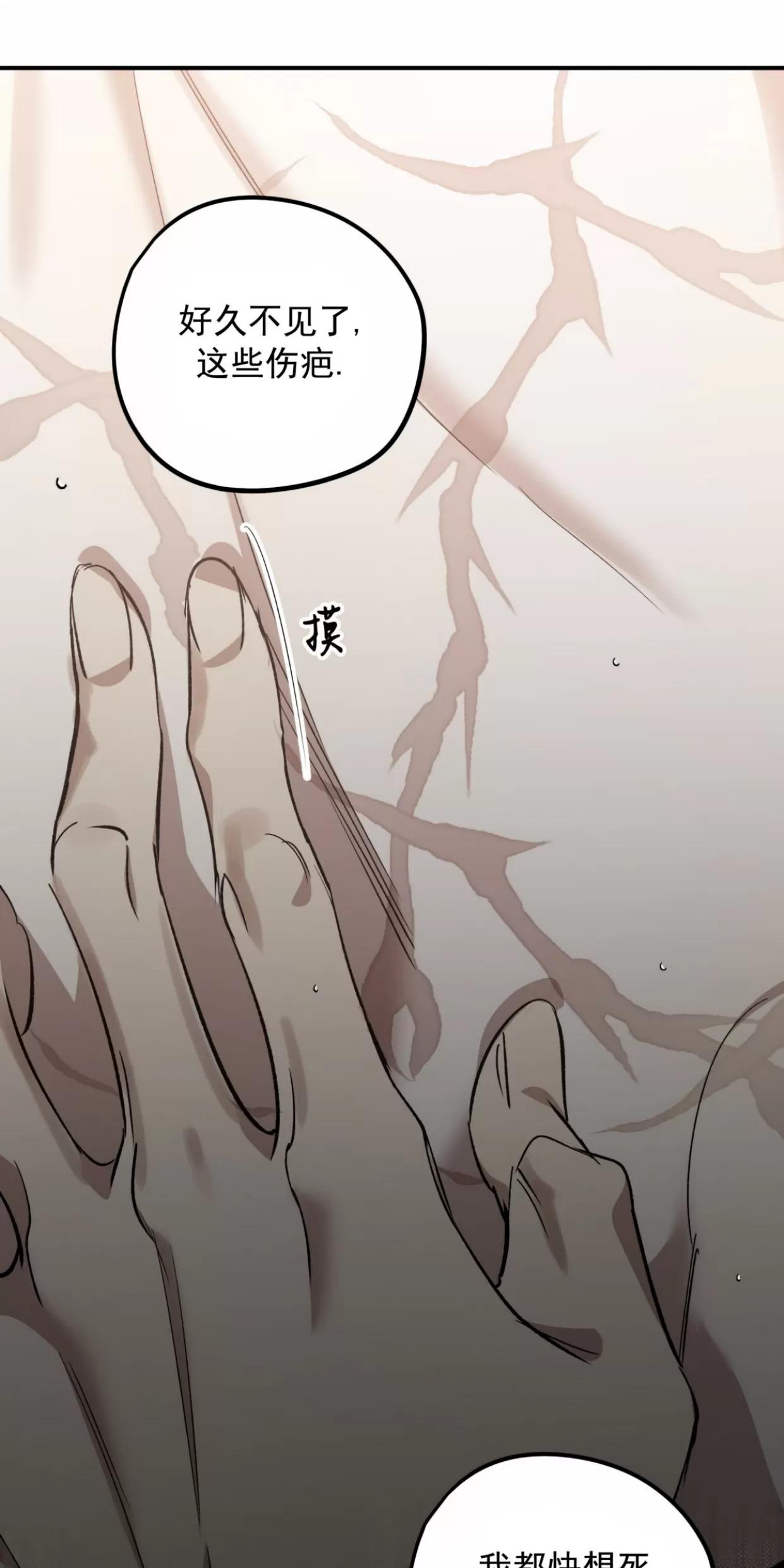 薰衣草盛开的庭院 第4话 第27页