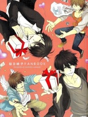 樱日梯子FAN BOOK 封面