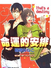 命运的安排 封面