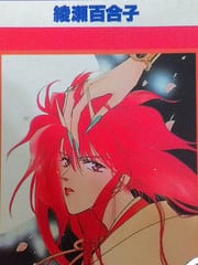 红色夜叉 封面