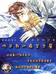 你是我的希望之星 封面