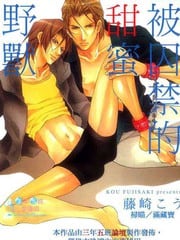被囚禁的甜蜜野兽 封面
