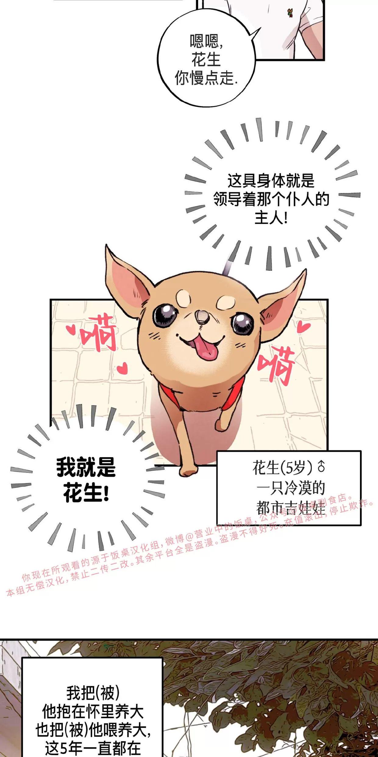 Honey Bear 第1话 第5页