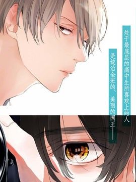 美丽的他 封面