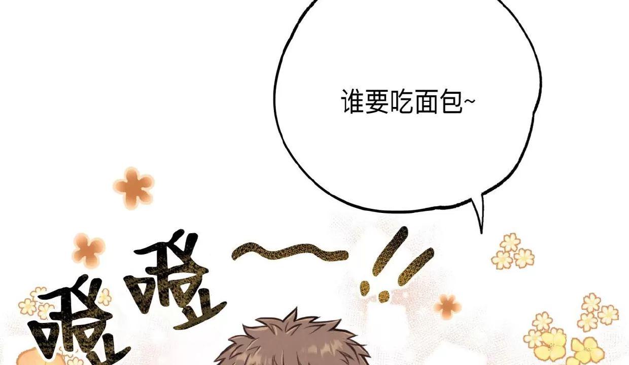 Honey Bear 第7话 第9页