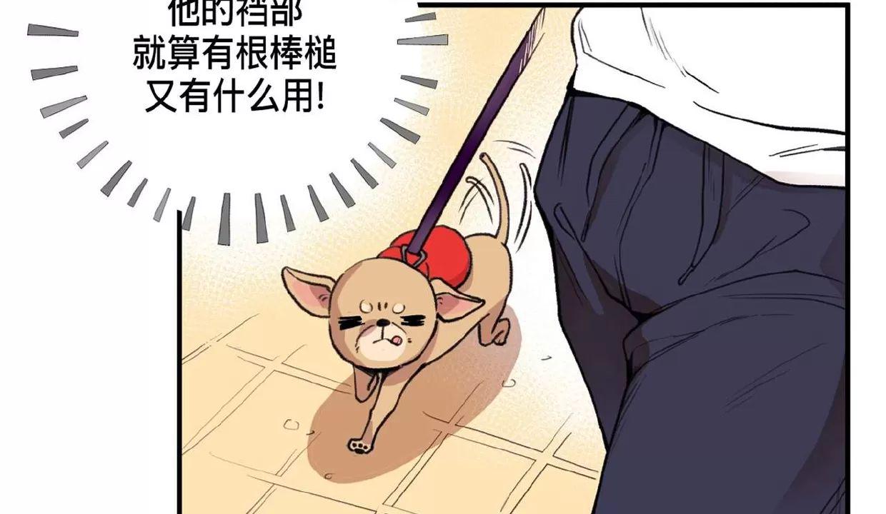 Honey Bear 第1话 第9页