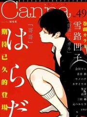 哥哥 封面