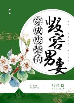 穿成废柴的毁容男妻 封面