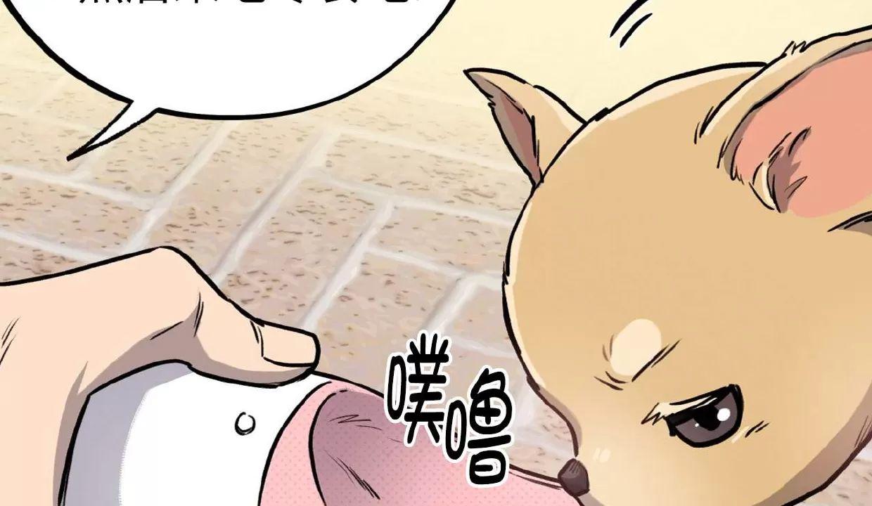 Honey Bear 第4话 第7页