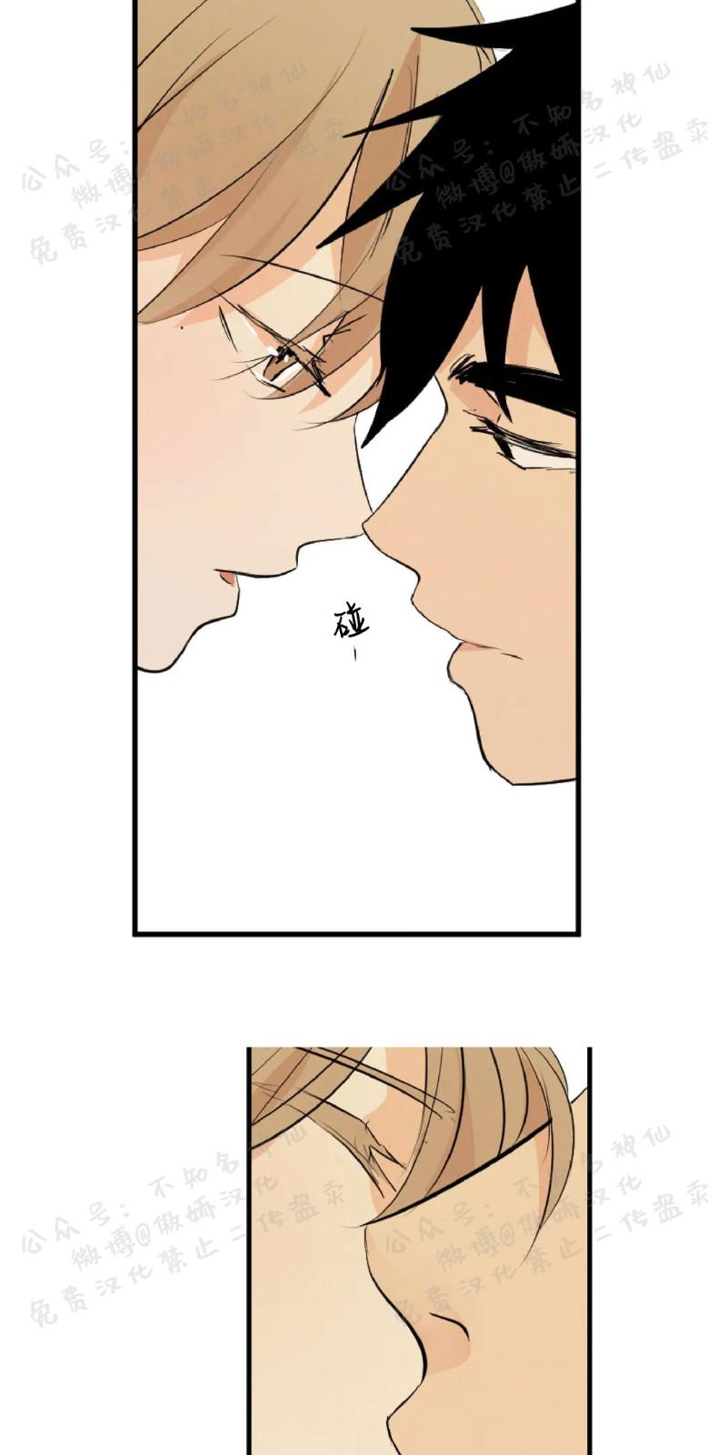 不完全变态 第48话 第3页