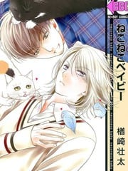 猫咪宝贝 封面