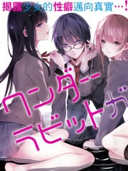 Wonder Rabbitgirl 封面