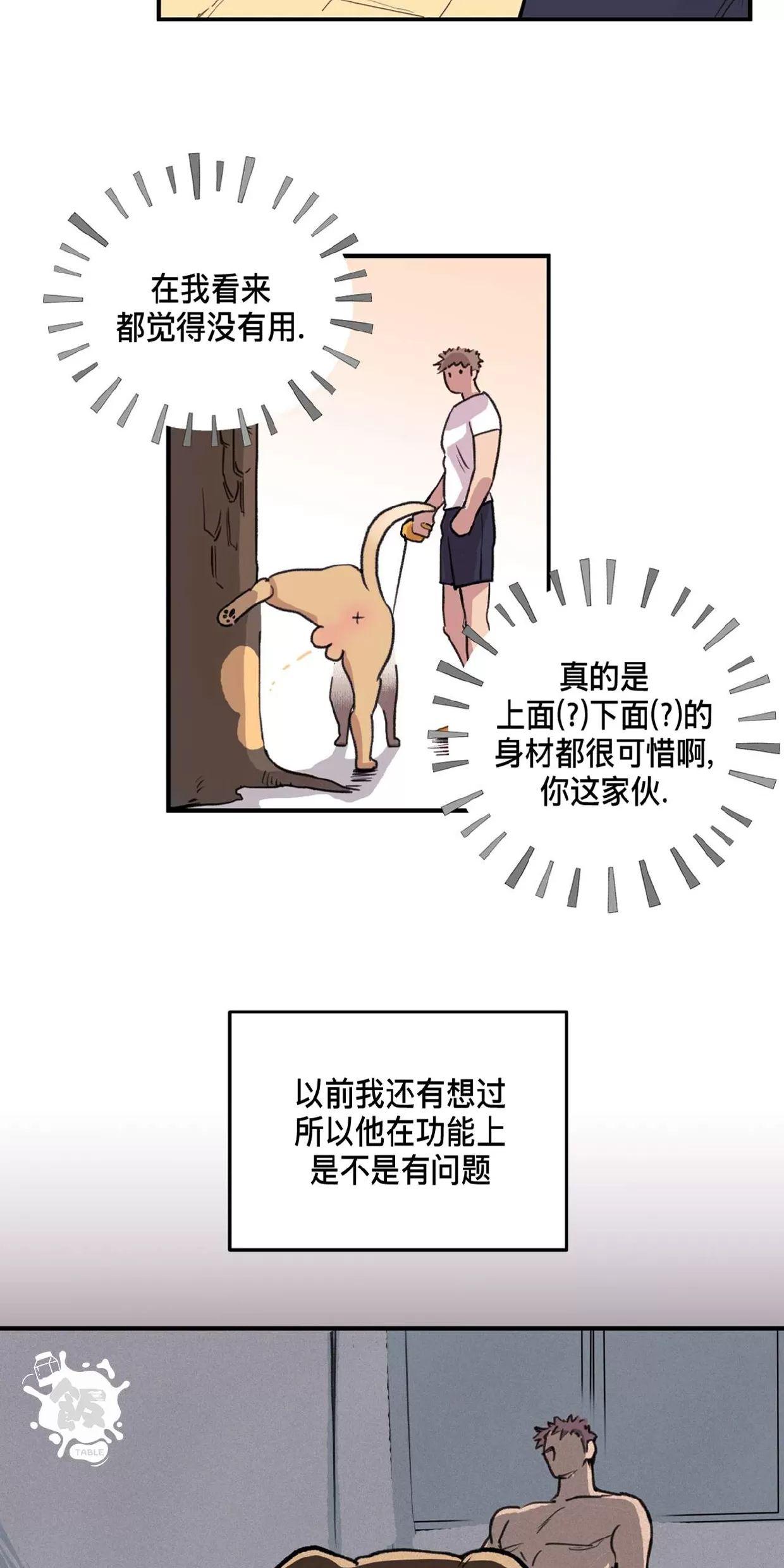 Honey Bear 第1话 第10页