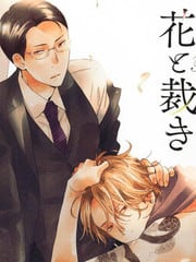 花与裁决 封面