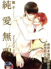 纯爱无瑕 封面
